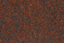 AFRICAN RED | GRANT